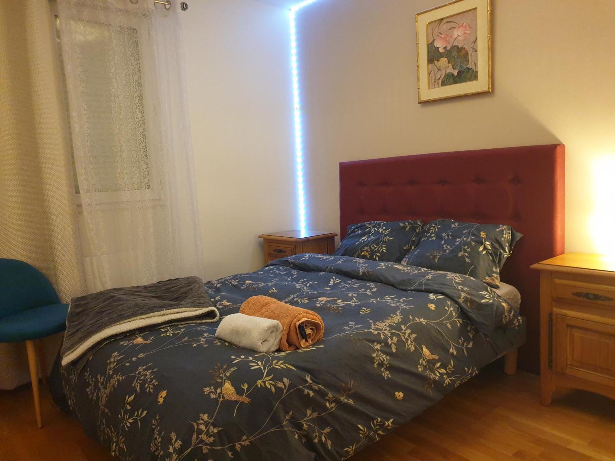 Spacieux Et Calme, Style Parisien, Toutes Commodites, Ideal Pour Un Sejour Authentique Saint-Denis  Phòng bức ảnh